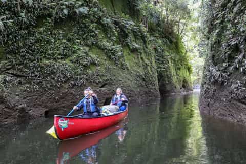 ManawatūWhanganui 2021 Top 10 Tours & Activities (with Photos