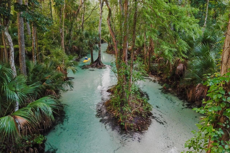 Florida: Emerald Cut Kayak Adventure Emerald Cut Kayak Adventure - Single Kayak