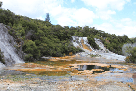 Taupo: Orakei Korako Geothermal Park and Cave Entry Ticket