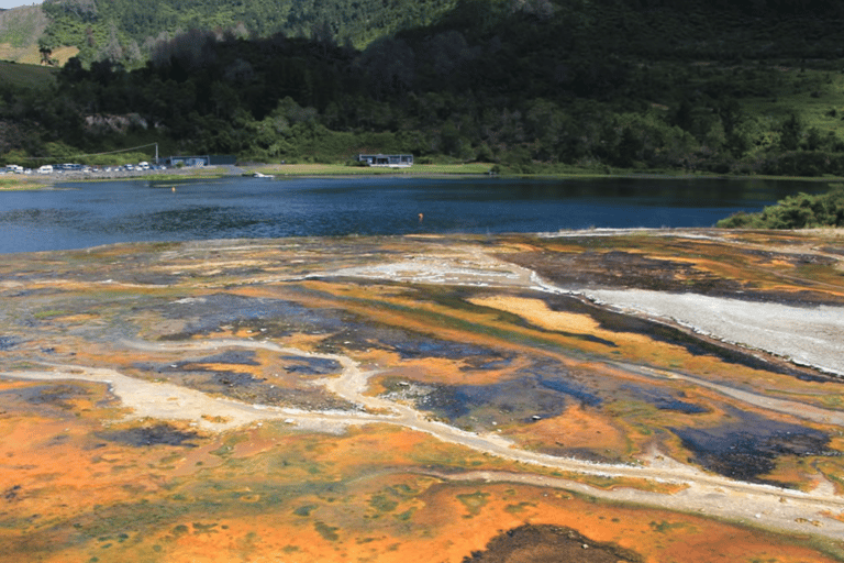 Taupo: Park geotermalny Orakei Korako i bilet wstępu do jaskini