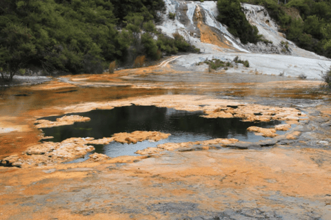 Taupo: Orakei Korako Geothermal Park and Cave Entry Ticket