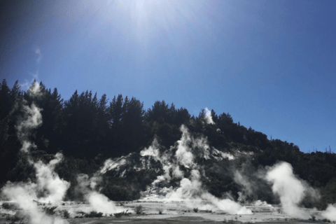 Taupo: Park geotermalny Orakei Korako i bilet wstępu do jaskini