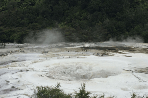 Taupo: Biglietto d&#039;ingresso per il parco geotermale e la grotta di Orakei Korako