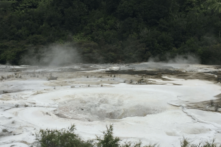 Taupo: Park geotermalny Orakei Korako i bilet wstępu do jaskini