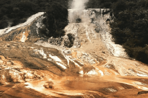 Taupo: Biglietto d&#039;ingresso per il parco geotermale e la grotta di Orakei Korako