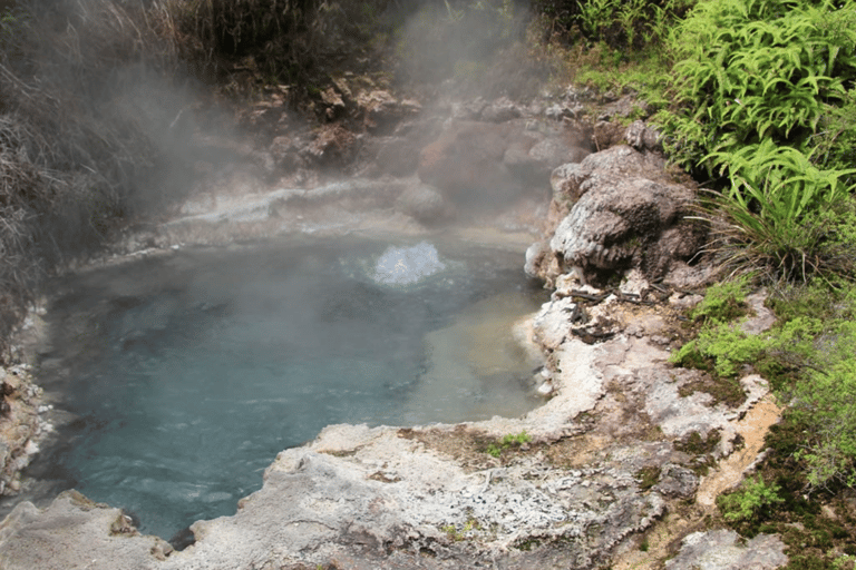 Taupo: Biglietto d&#039;ingresso per il parco geotermale e la grotta di Orakei Korako