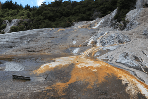 Taupo: Park geotermalny Orakei Korako i bilet wstępu do jaskini