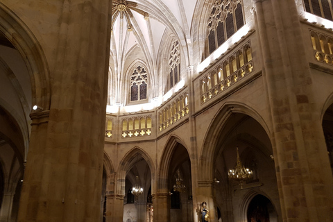 Bilbau: visita guiada em espanhol à cidade velha e à Catedral de SantiagoBilbau: visita guiada em espanhol à Cidade Velha e à Catedral de Santiago
