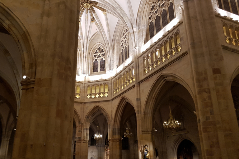 Bilbau: visita guiada em espanhol à cidade velha e à Catedral de SantiagoBilbau: visita guiada em espanhol à Cidade Velha e à Catedral de Santiago