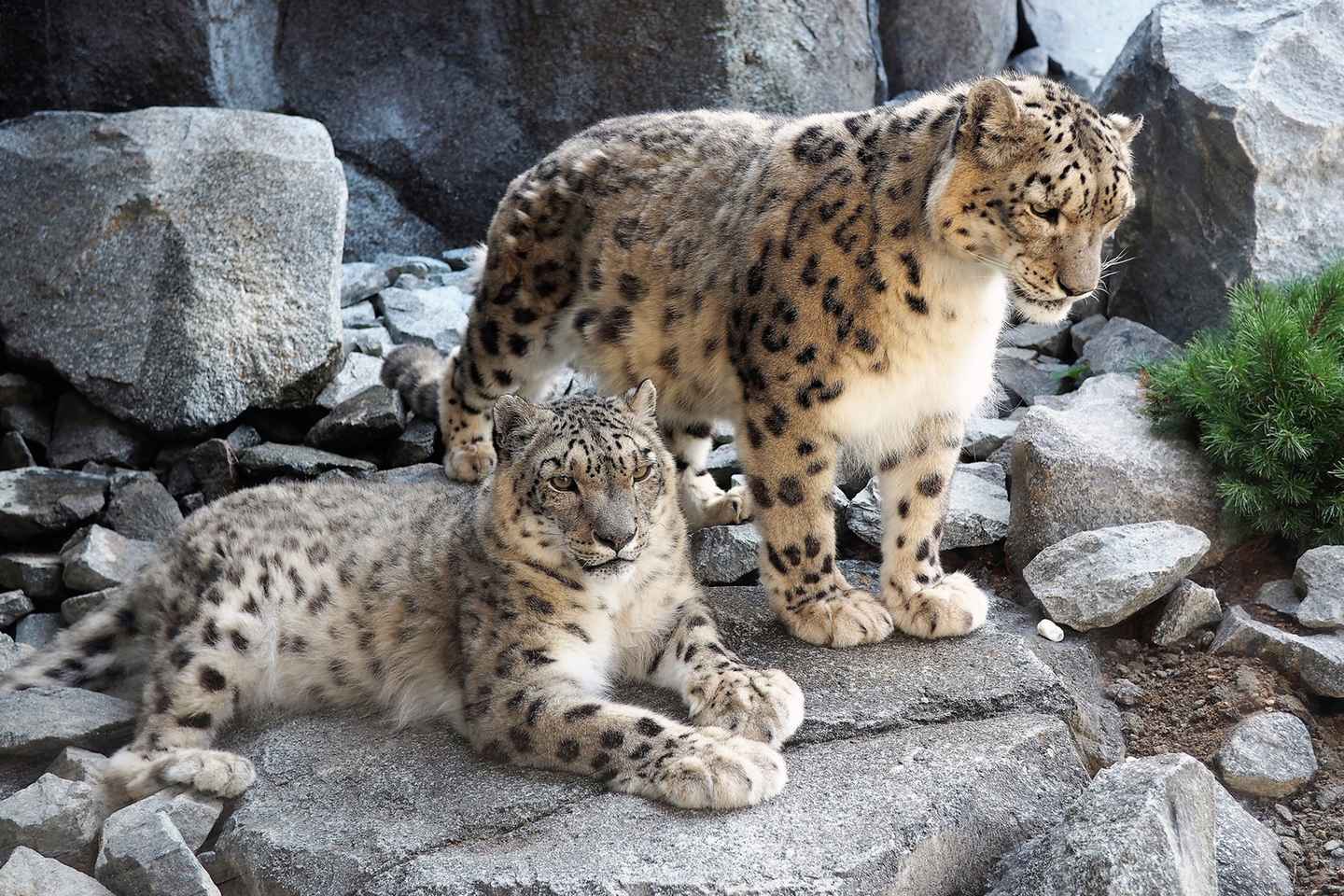 ライプツィヒ1日観光バスと動物園チケット