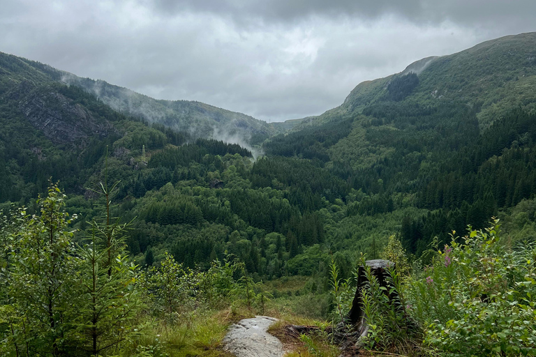 Bergen: Guided Nature Walk with Optional Floating Sauna Espanol