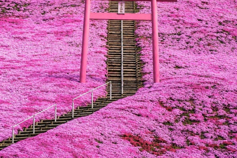 Kyoto & Osaka: Private Customizable Day Trip with Guide