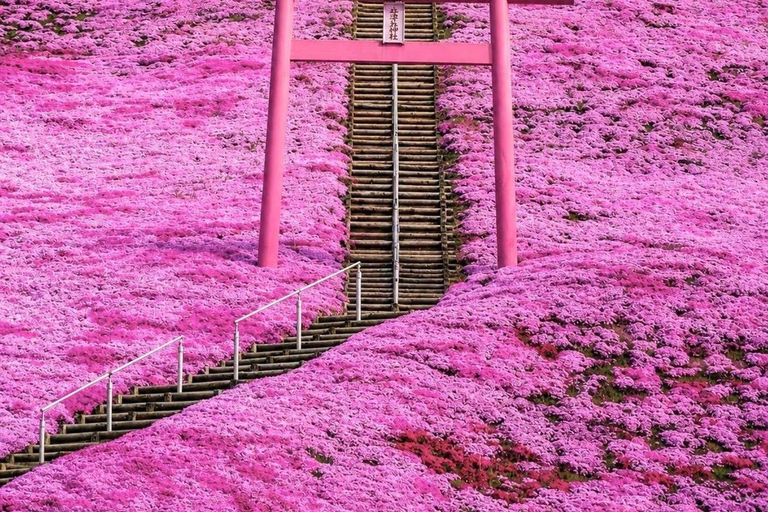 Kyoto & Osaka: Private Customizable Day Trip with Guide