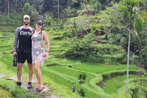 Tanah lot, tempio del lago Beratan, terrazza di riso di JatiluwihTour di Bedugul