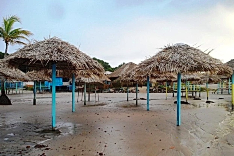 Belém: excursión de 2, 3 o 4 días a la isla de Marajó con alojamientoExcursión de 4 días y 3 noches