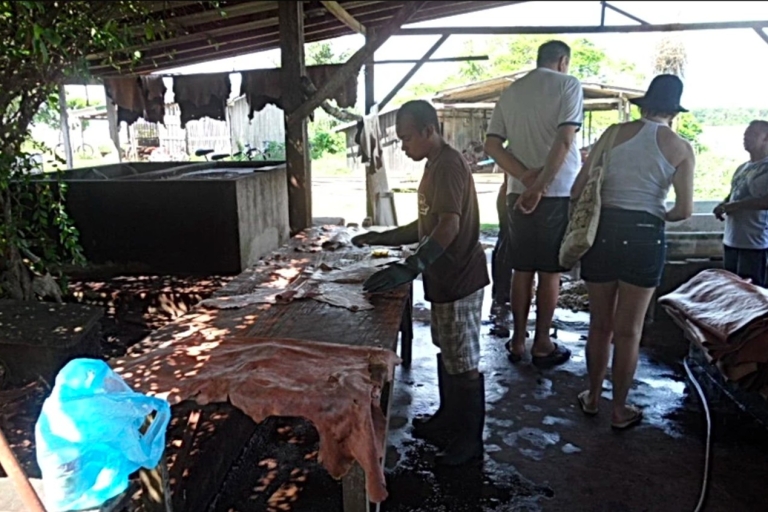 Belém: 2, 3 or 4-Day Marajó Island Excursion with Lodging 4 Day, 3 Night Excursion