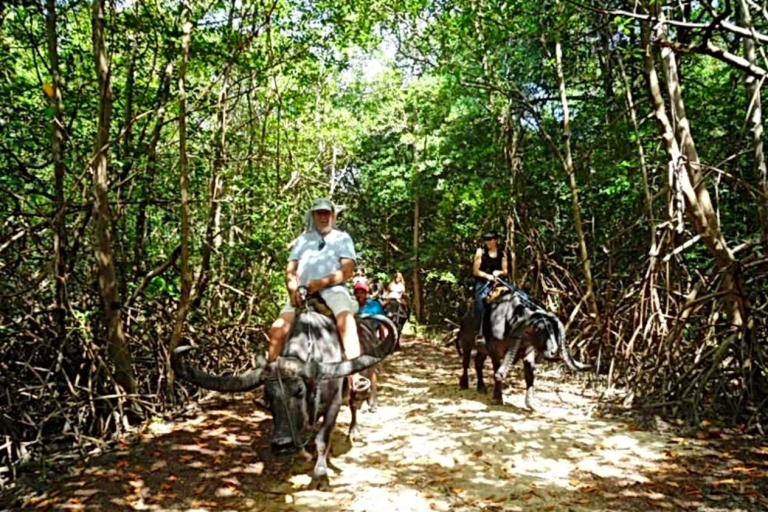Belém: 2, 3 or 4-Day Marajó Island Excursion with Lodging 4 Day, 3 Night Excursion