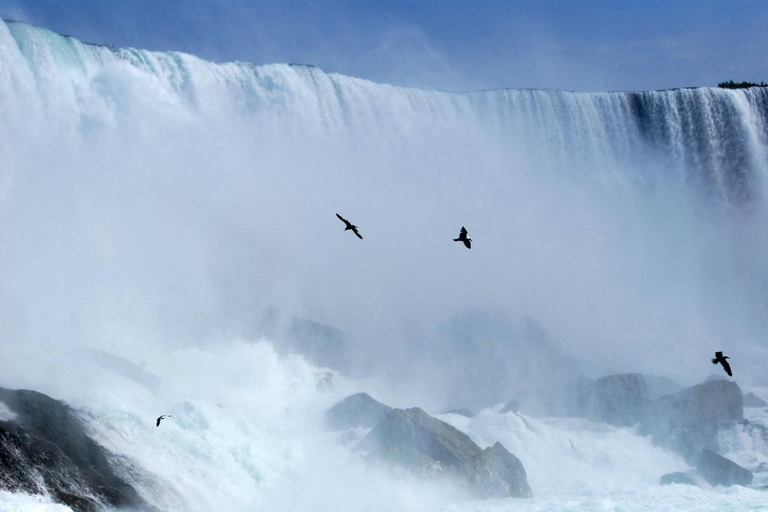 From Toronto: Niagara Falls Private Sightseeing Tour