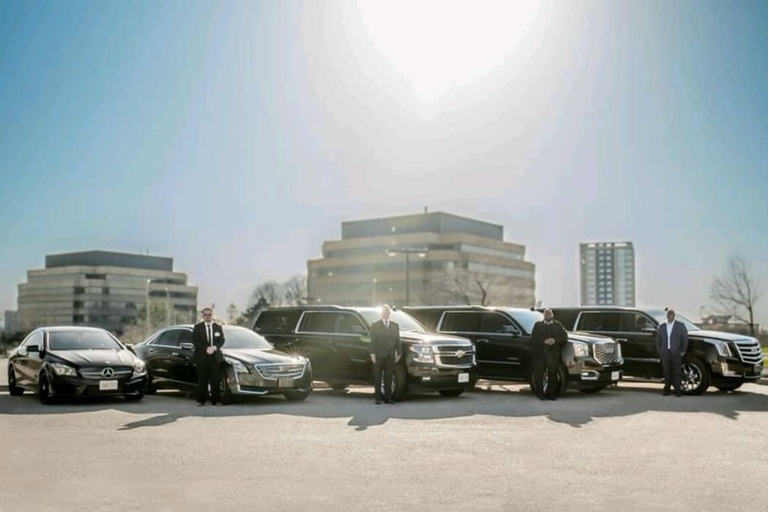 From Toronto: Niagara Falls Private Sightseeing Tour