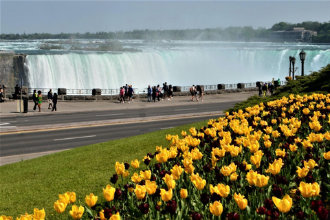 From Toronto: Niagara Falls Private Sightseeing Tour