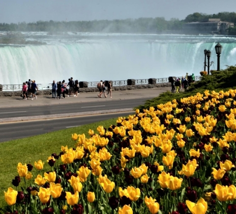 Niagara Falls, Canadian Side, Niagara Falls, Ontario - Book Tickets ...