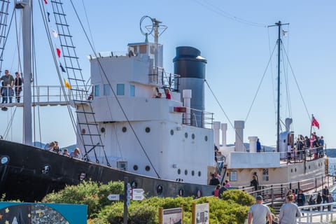 Albany: Albany's Historic Whaling Station Entry Ticket