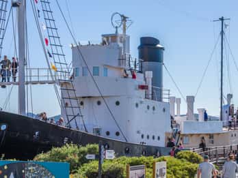 Albany: Historic Whaling Station Entry Ticket