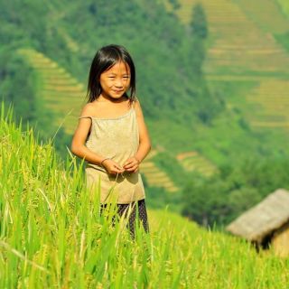 From Hanoi: Private Tour to Mu Cang Chai Rice Field
