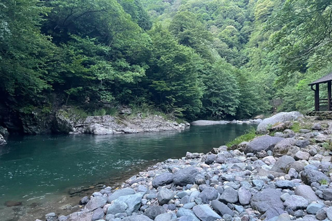 From Batumi: Mtirala National Park Private Tour with BBQ