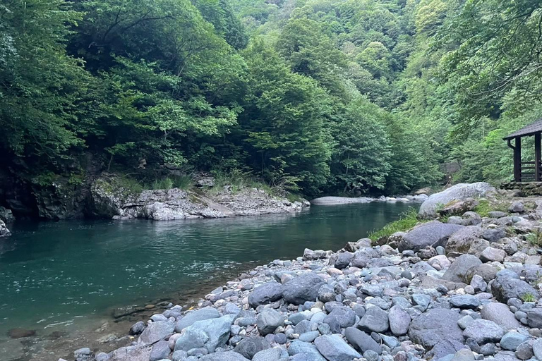 From Batumi: Mtirala National Park Private Tour with BBQ
