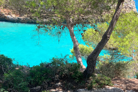 Majorka: Wycieczka prywatna - Jaskinie, plaże i wina