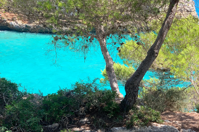 Majorque : Visite privée - Grottes, plages et vins