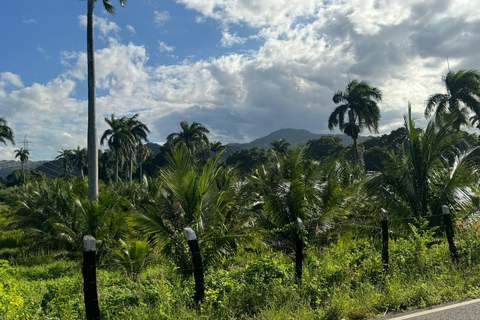 Puerto Plata: El Gallo Ecolodge Day Pass with Lunch