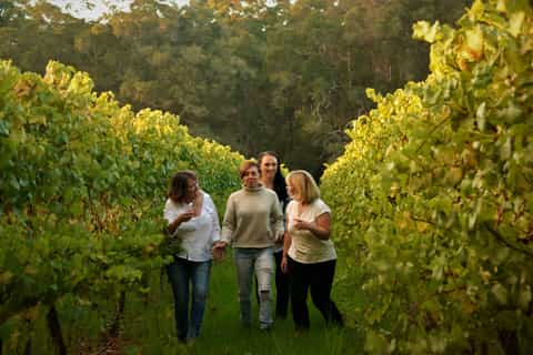 from pemberton halfday wine discovery tour