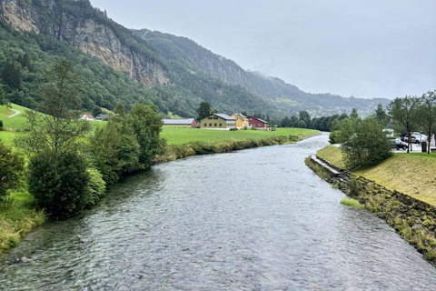 Scenic Hardangerfjord with Waterfalls & Lunch at a Garden 