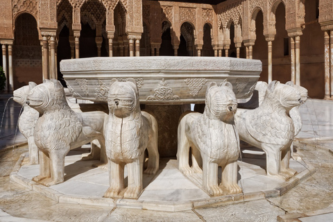 Granada: Tour per piccoli gruppi dell&#039;Alhambra e dell&#039;Albaicín