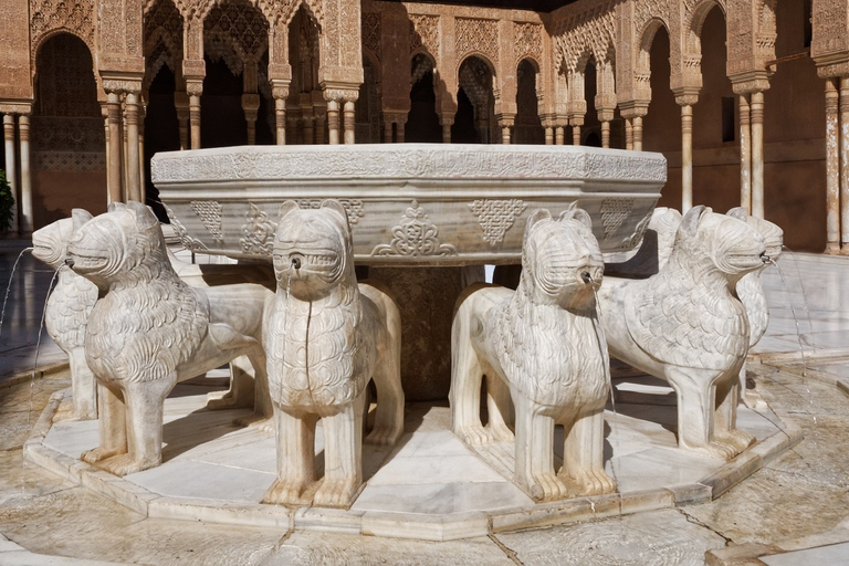 Granada: Alhambra en Albaicín Kleine Groep TourRondleiding in het Spaans