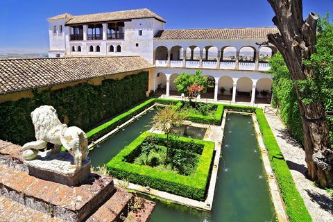 Granada: Tour per piccoli gruppi dell&#039;Alhambra e dell&#039;AlbaicínTour in spagnolo