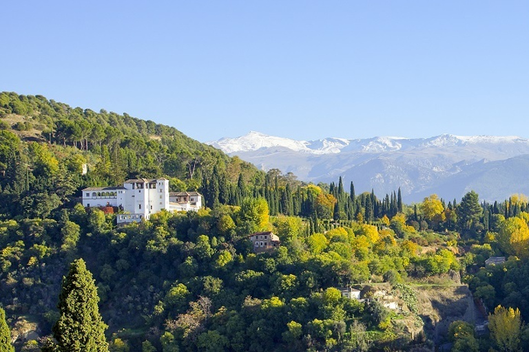 Granada: Alhambra i Albaicín Mała wycieczka grupowaWycieczka w języku hiszpańskim