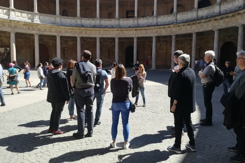 Granada: Tour per piccoli gruppi dell&#039;Alhambra e dell&#039;AlbaicínTour in spagnolo