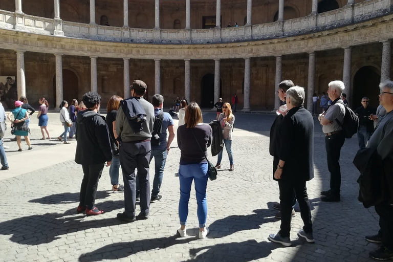 Granada: Alhambra e Albaicín: excursão para grupos pequenosExcursão em Espanhol