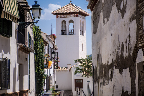 Granada: Alhambra and Albaicín Small Group TourTour in Spanish