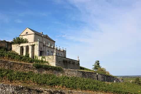 Nuits-Saint-Georges: Electric Scooter Sightseeing Tour