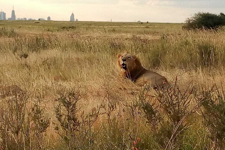 Tsavo East National Park: tweedaagse tour vanuit Mombasa