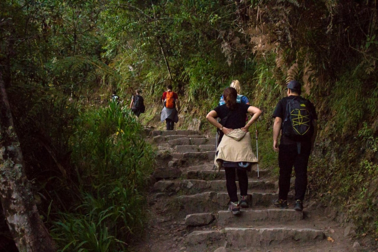 Au départ de Cusco : Budget Inca Jungle Trek avec retour en voitureOption 4 jours/3 nuits
