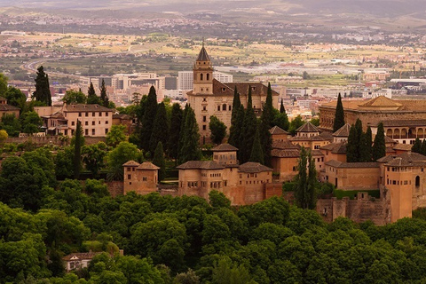 Granada: Tour privato dell&#039;Alhambra e dei palazzi nazarìTour privato in inglese