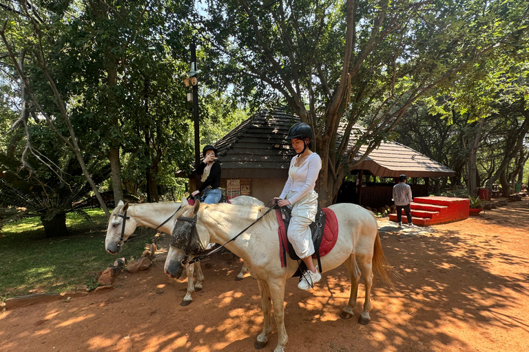 Desde Johannesburgo: Safari a caballo