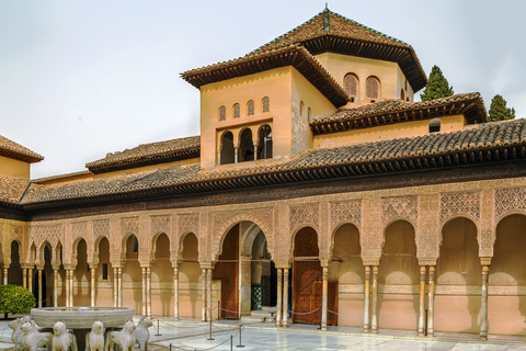 Granada: Alhambra and Nasrid Palaces Private Tour Private Tour in Italian