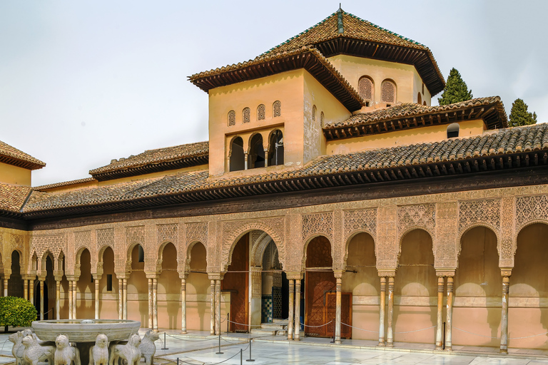 Granada: Tour privato dell&#039;Alhambra e dei palazzi nazarìTour privato in inglese