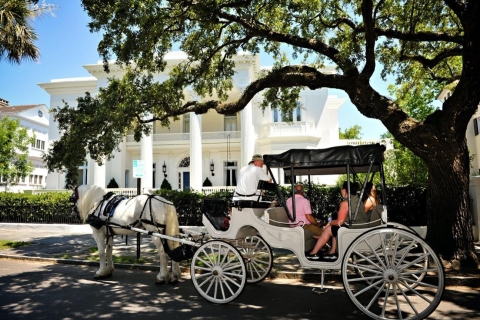 Charleston: Private Carriage Ride 35-Minute Evening Tour
